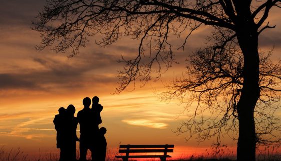 How to Set Up a Charity